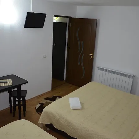 Pensiunea Panoramic Guest house 3*