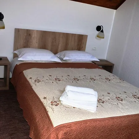 Pensiunea Panoramic Guest house 3*